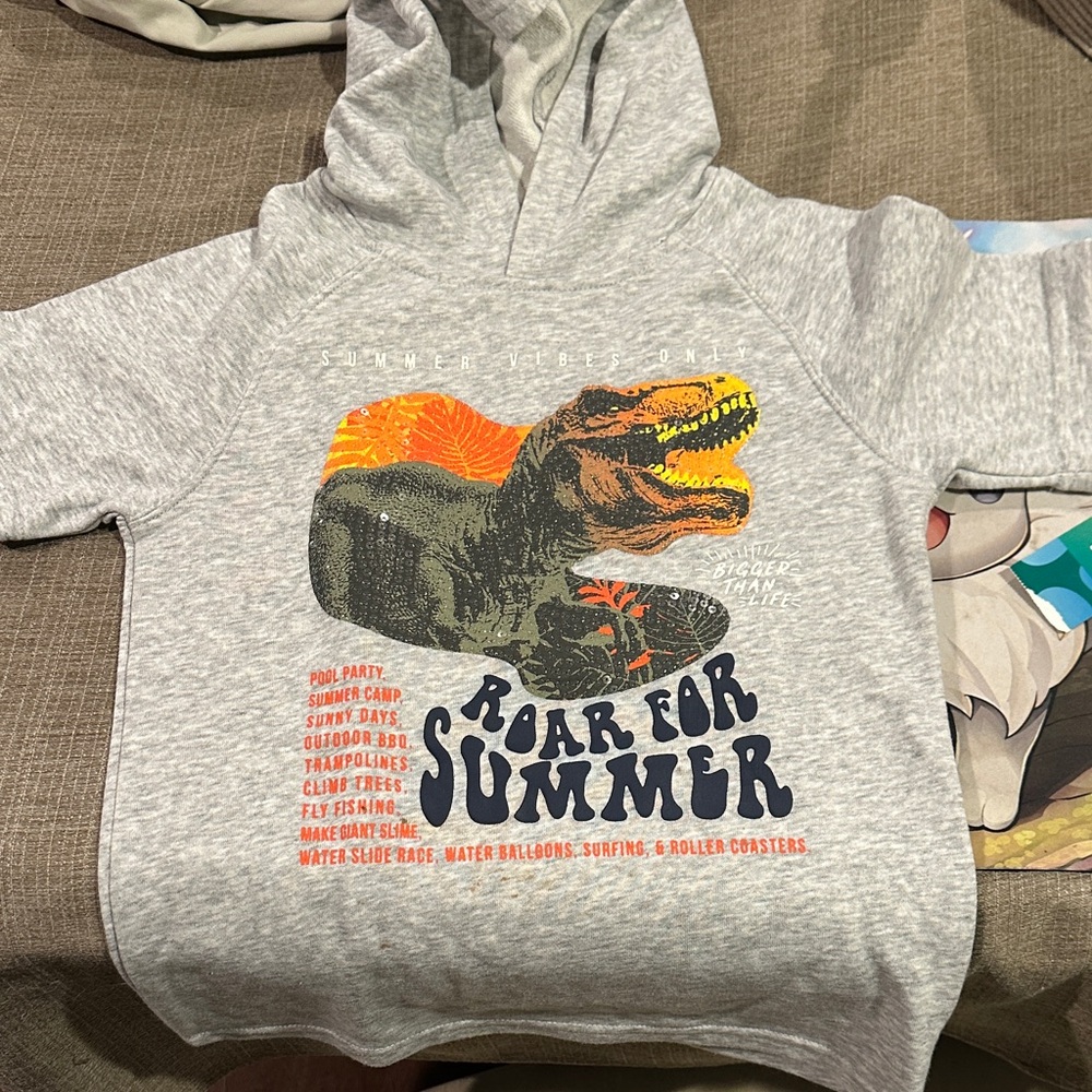 Garanimals Gray Dinosaur Graphic Hoodie